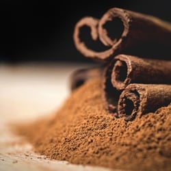 The Flavor Apprentice - Cinnamon